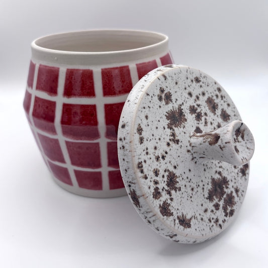Windowpane cookie jar