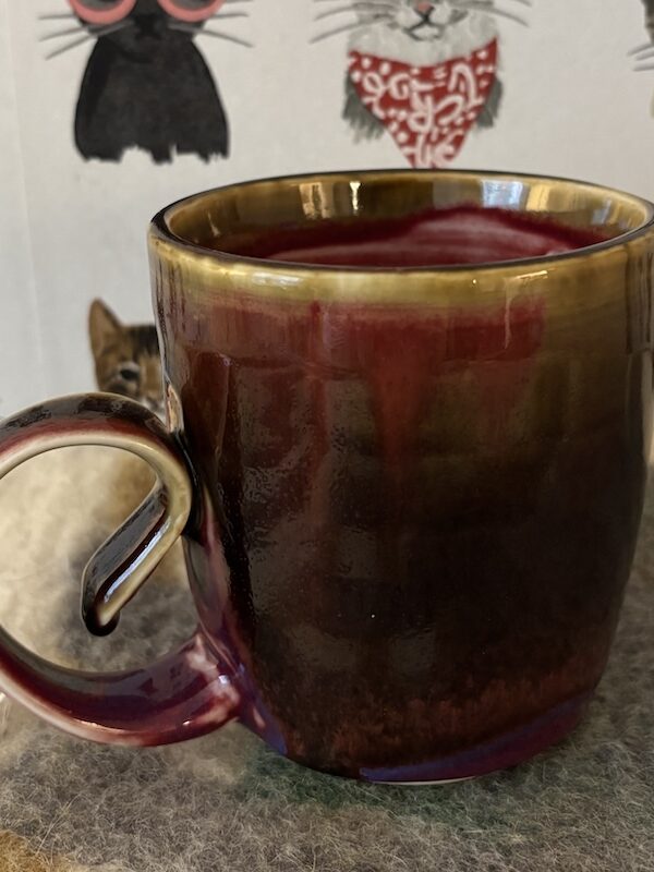Hot mess express mug