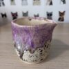 Purple pinch pitcher