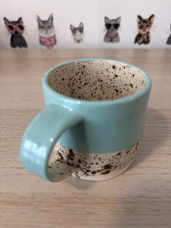 Teal speckle stepped mug
