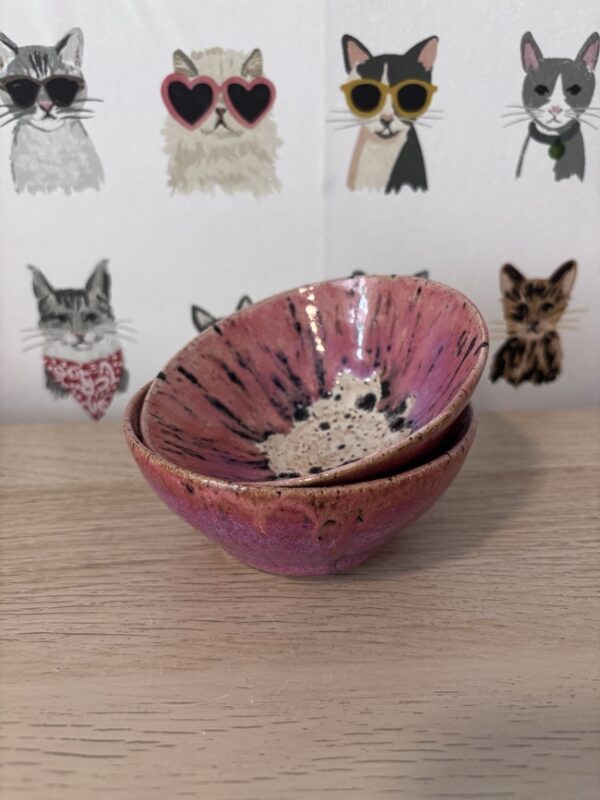 Set of 2 "watermelon radish" bowls