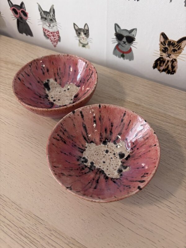 Set of 2 "watermelon radish" bowls
