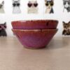 Set of 2 "watermelon radish" bowls