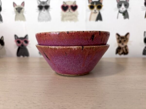 Set of 2 "watermelon radish" bowls